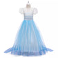 Elsa inspired Blue dress