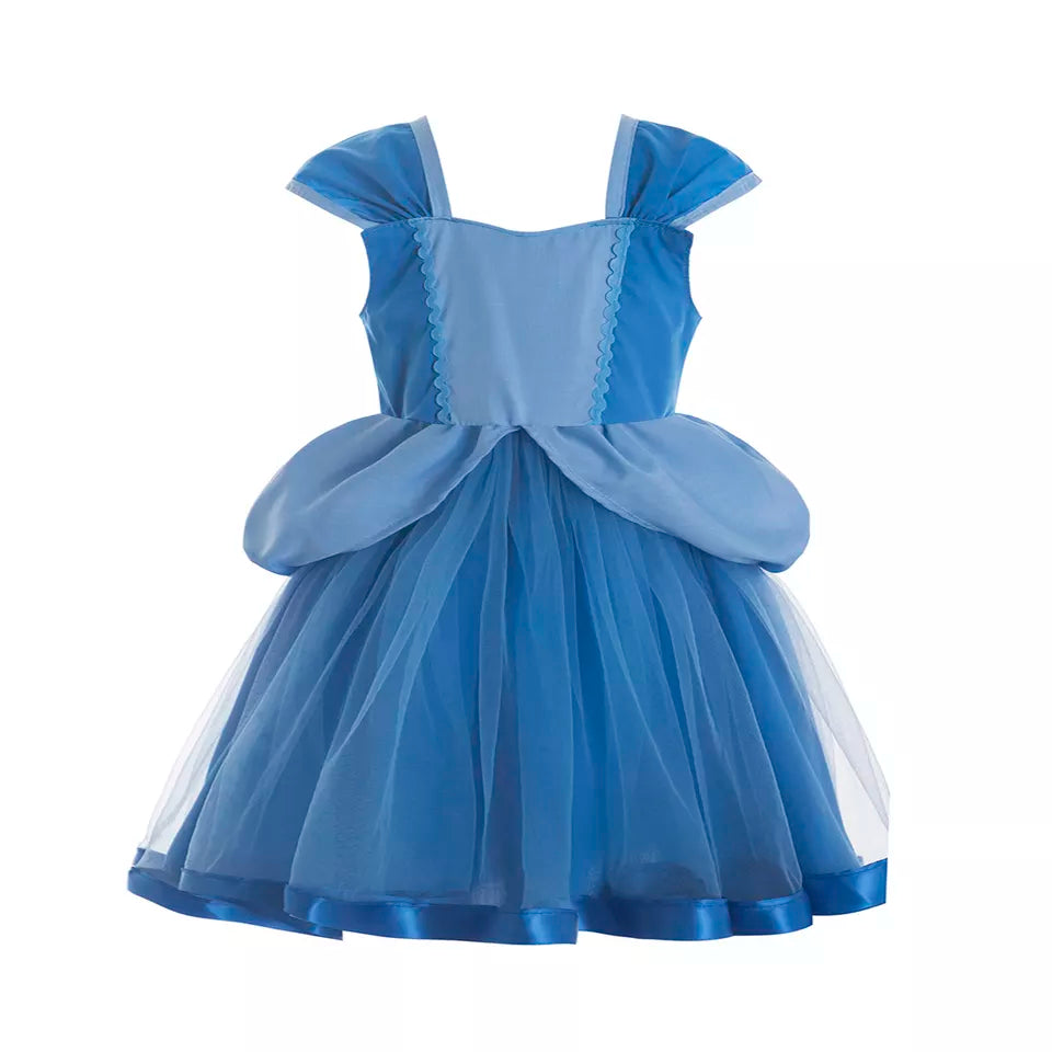 Cinderella inspired Tutu dress
